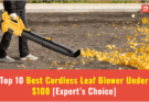 Best Cordless Leaf Blower Under $100