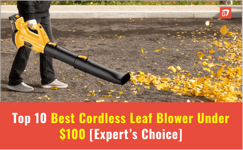 Best Cordless Leaf Blower Under $100