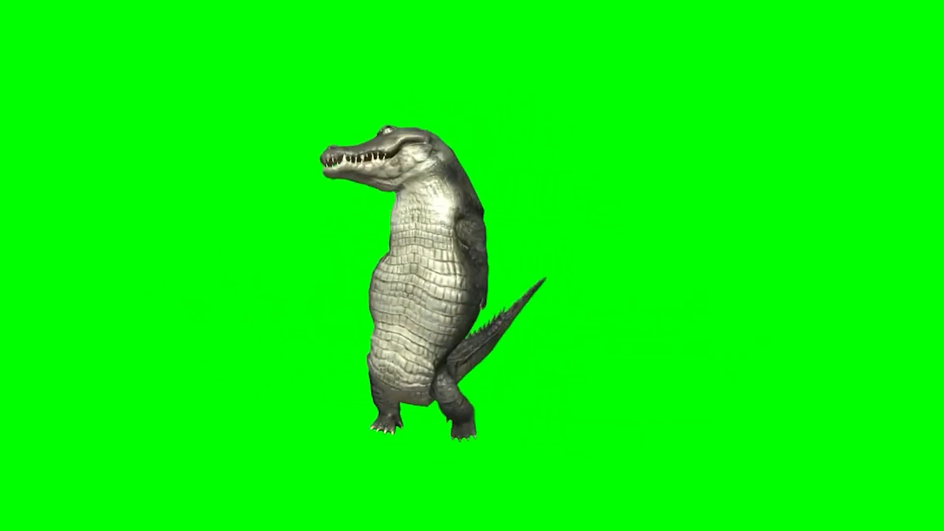 Green Screen Dancing Crocodile Meme