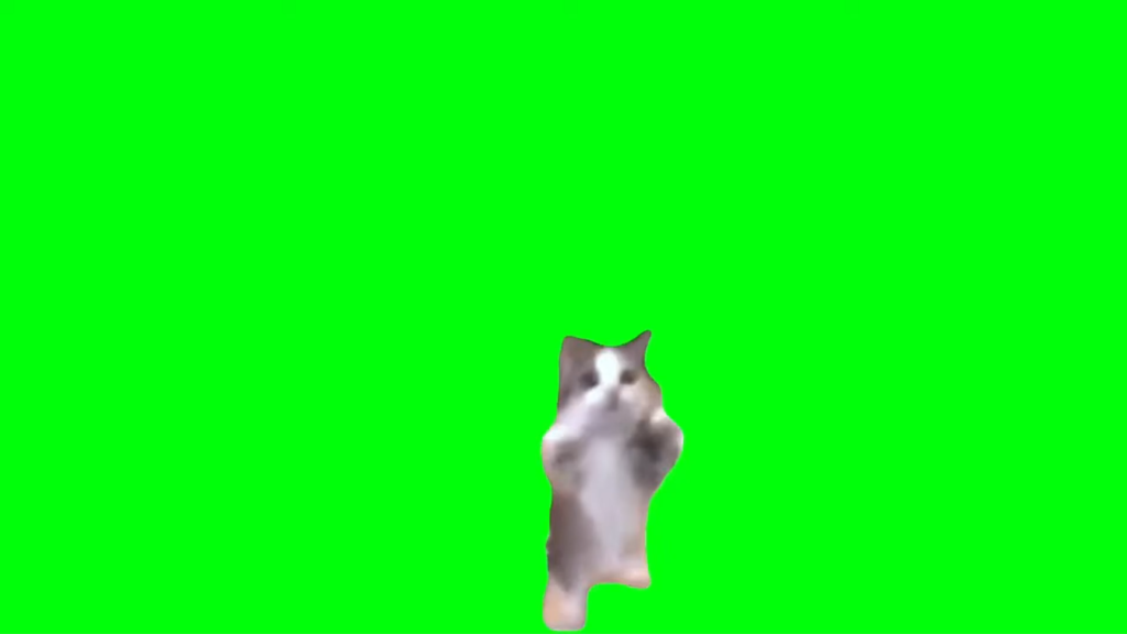 Download Dancing Happy Kitty Cat Green Screen Meme