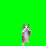 Download-Dancing-Happy-Kitty-Cat-Green-Screen-Meme