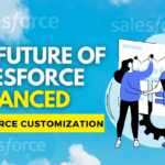 Advanced Salesforce Customization